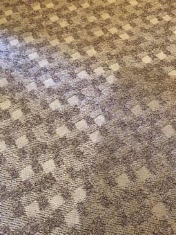 Area Rug Maintenance Auckland