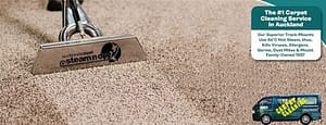 deep carpet clean Auckland