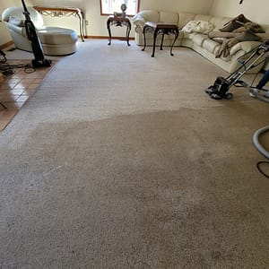 carpet cleaners