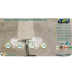 professional carpet cleaners