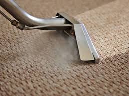 Area rug cleaning Auckland