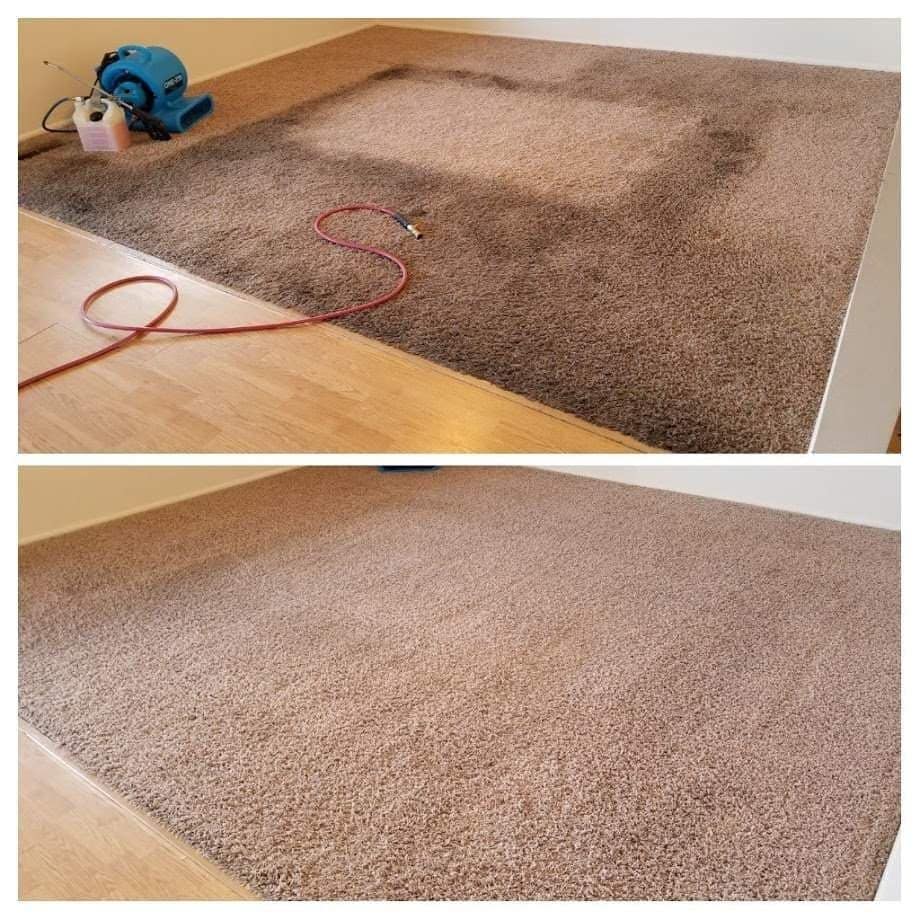 Service Gallery Carpet Cleaners Rug Cleaning Dry Cleaner